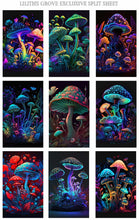 Load image into Gallery viewer, Mushroom Bundle
