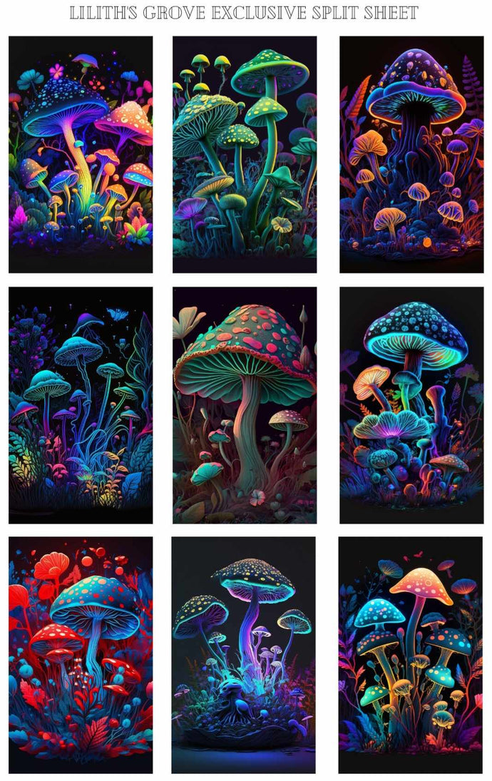 Mushroom Bundle